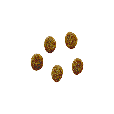 Bozita Robur Sensitive Grain Free Chicken – 2x 11.5kg – Image 2