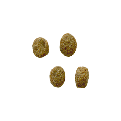 Bozita Robur Sensitive Grain Free Reindeer - 2x 11.5kg – Image 2