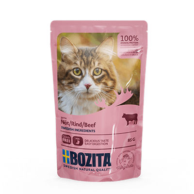 Bozita Pouch HiS Boeuf