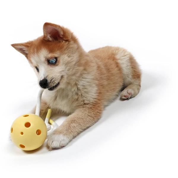 MiniNous / Ses jouets préférés à 18 mois • Le chien à taches