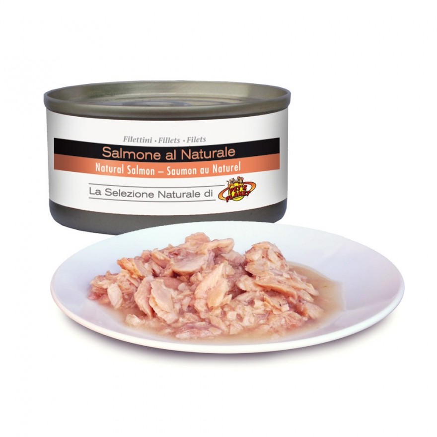 Filets chien et chat - Saumon au naturel (DATA 22.02.2026)