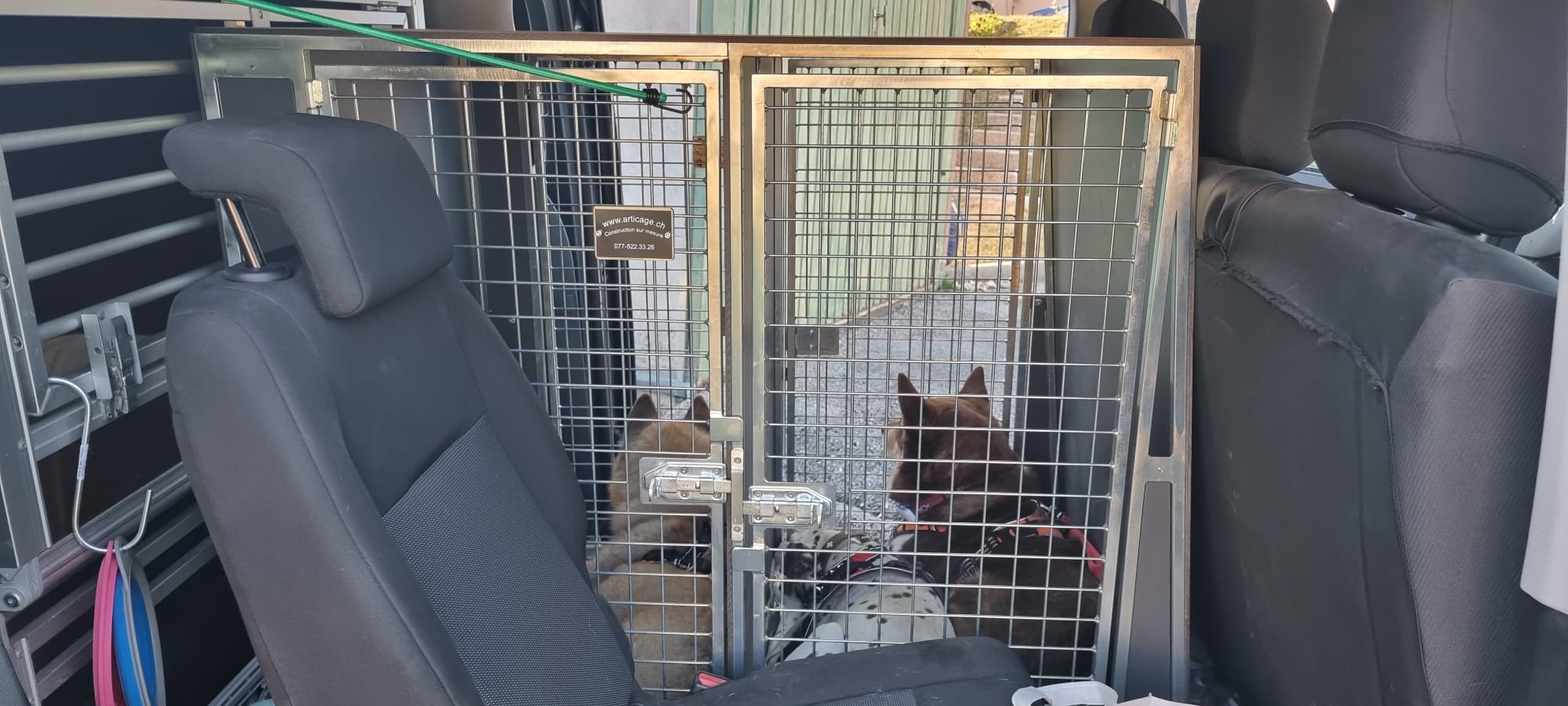 transport.chien.promenade.cage