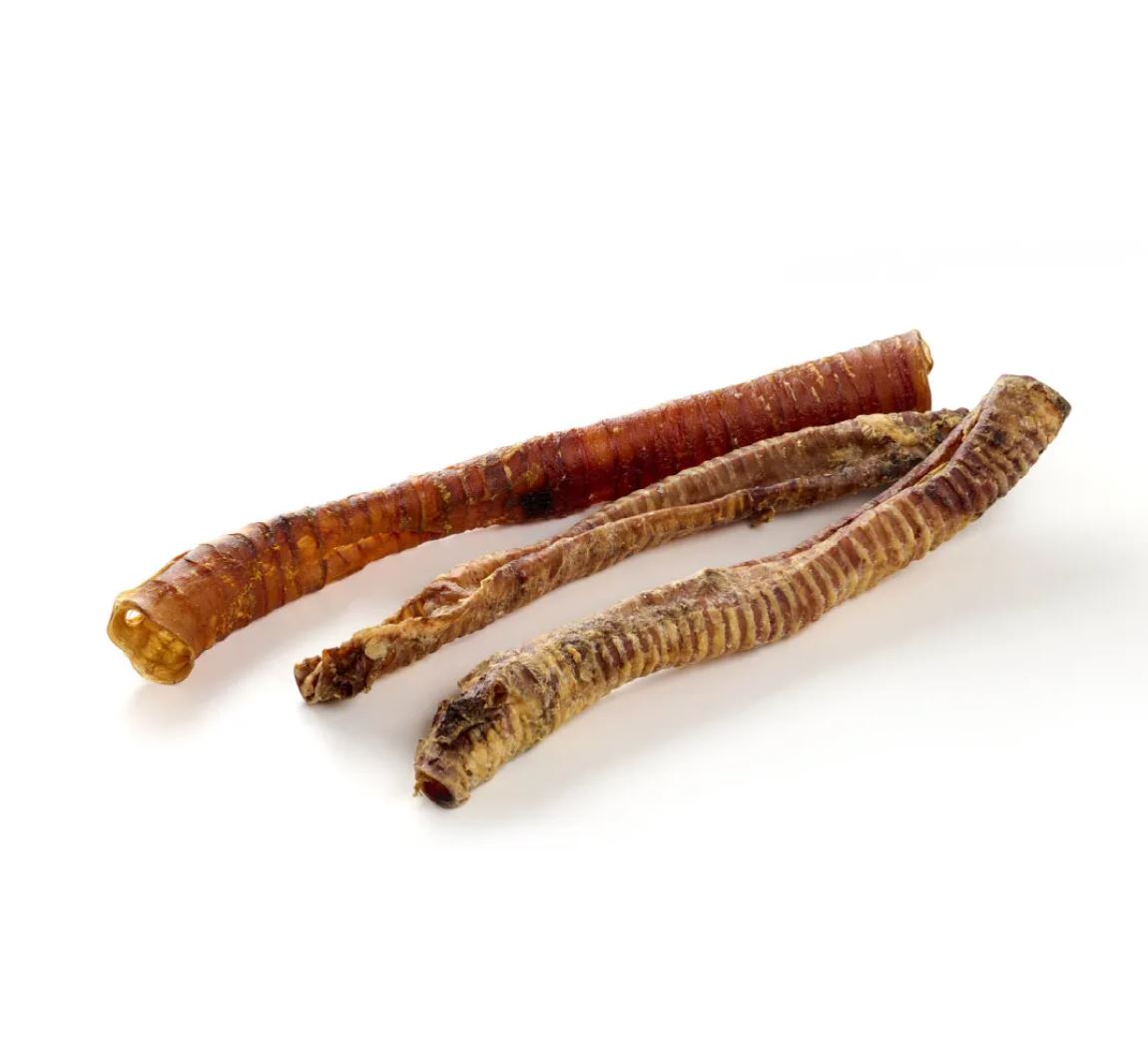 Friandise pour Chien Trachées de Cheval Séchées XXL - EN VRAC