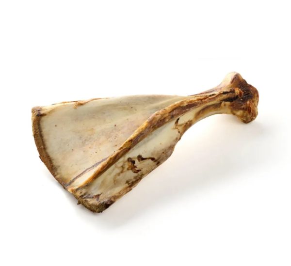 Kauartikel Friandise pour Chien Épaule de bœuf géante