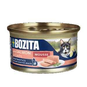 Mousse Bozita au saumon MSC