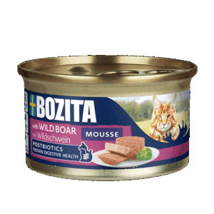 Mousse Bozita au sanglier