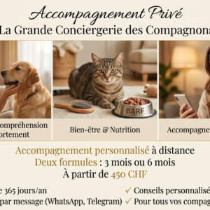 La Grande Conciergerie des compagnons (GCC)