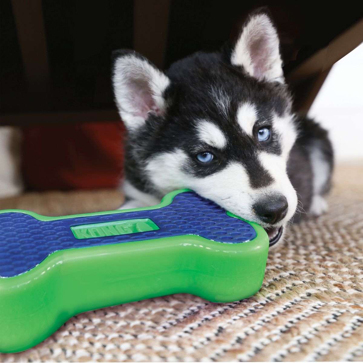 KONG Eon Bone – Jouet à mâcher flottant et couineur pour chien – Image 2