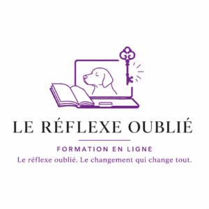 Le Réflèxe oublié - formation numérique sur système.io avec PDF (TWINT)